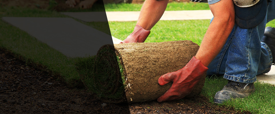 Elizabethton Landscapers